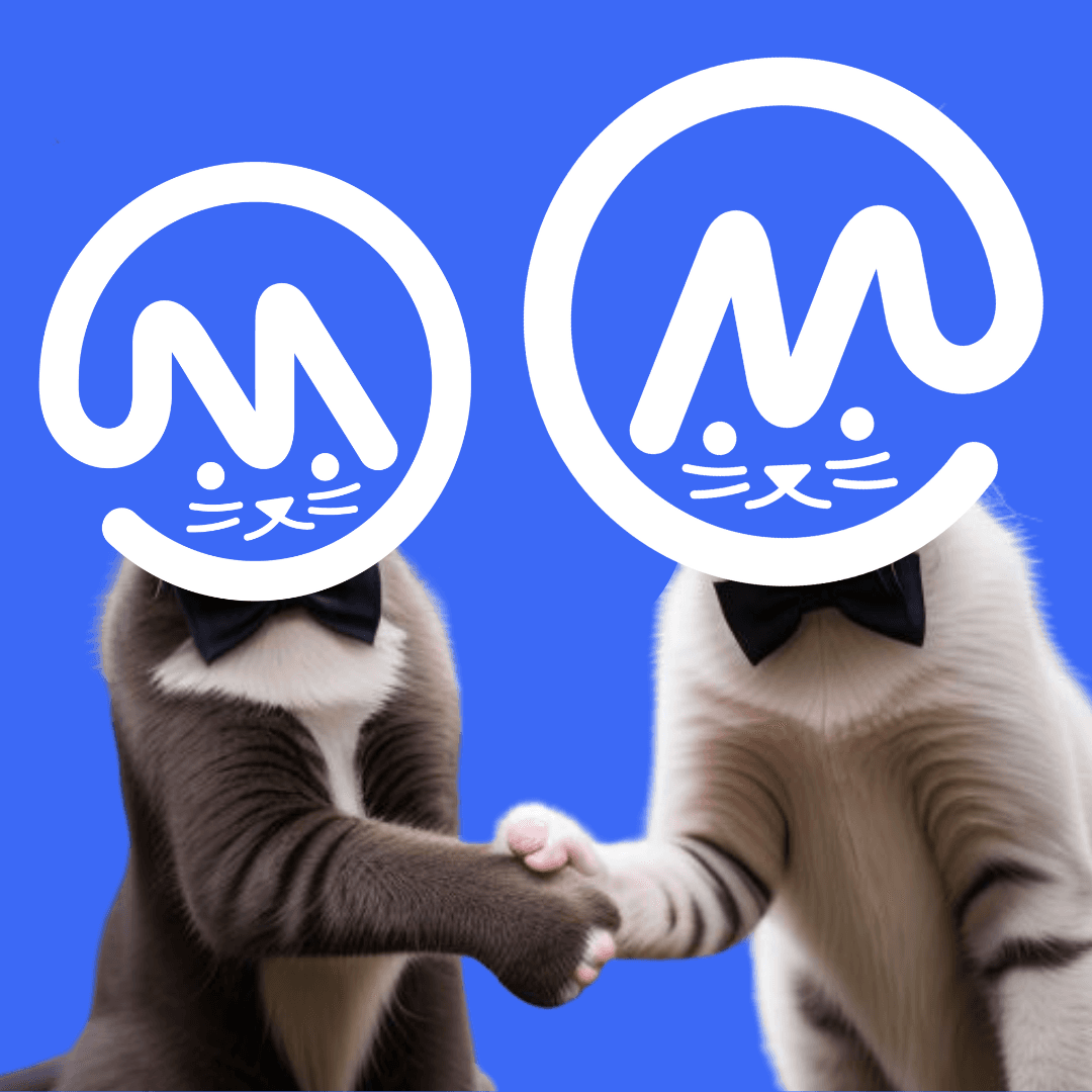 CoinMarketCat Shaking Hands